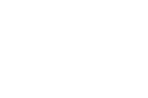 AWARD WINNER - 8th Indian World Film Festival-25 Hyderabad India - Special Jury Mention-2024