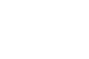 AWARD WINNER - FESTIVAL DE INDIE - Best Innovative Film-2024 (1)