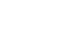 AWARD WINNER - Paris Indie Film Awards - BEST DEBUT FILMMAKER-2024 (2)